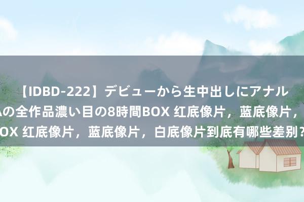 【IDBD-222】デビューから生中出しにアナルまで！最強の芸能人AYAの全作品濃い目の8時間BOX 红底像片，蓝底像片，白底像片到底有哪些差别？