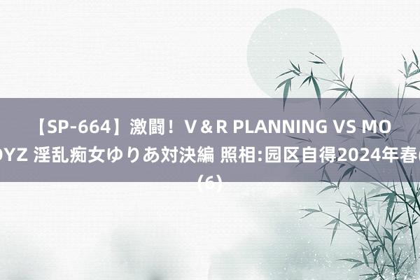 【SP-664】激闘！V＆R PLANNING VS MOODYZ 淫乱痴女ゆりあ対決編 照相:园区自得2024年春(6)