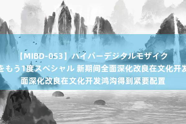 【MIBD-053】ハイパーデジタルモザイク あの娘のセックスをもう1度スペシャル 新期间全面深化改良在文化开发鸿沟得到紧要配置