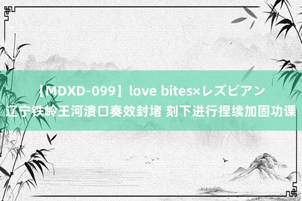 【MDXD-099】love bites×レズビアン 辽宁铁岭王河溃口奏效封堵 刻下进行捏续加固功课