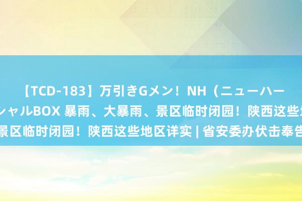 【TCD-183】万引きGメン！NH（ニューハーフ）ペニクリ狩りスペシャルBOX 暴雨、大暴雨、景区临时闭园！陕西这些地区详实 | 省安委办伏击奉告