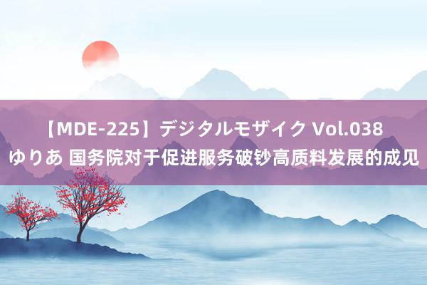 【MDE-225】デジタルモザイク Vol.038 ゆりあ 国务院对于促进服务破钞高质料发展的成见