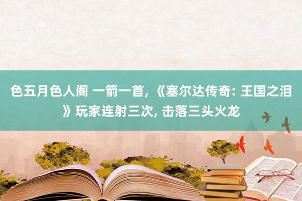 色五月色人阁 一箭一首, 《塞尔达传奇: 王国之泪》玩家连射三次, 击落三头火龙