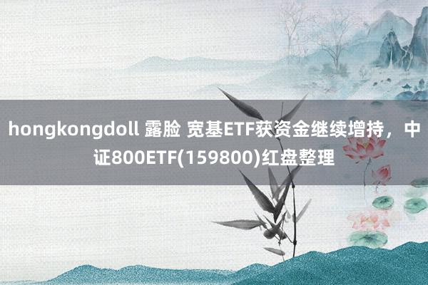 hongkongdoll 露脸 宽基ETF获资金继续增持，中证800ETF(159800)红盘整理