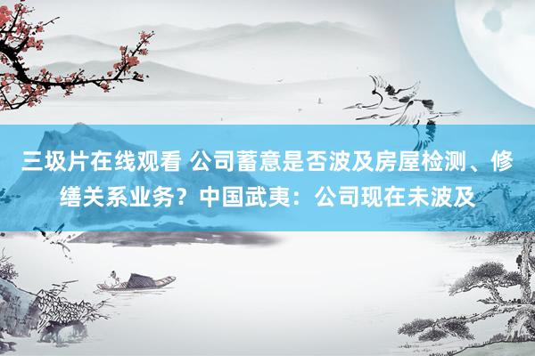 三圾片在线观看 公司蓄意是否波及房屋检测、修缮关系业务？中国武夷：公司现在未波及