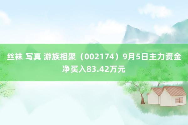 丝袜 写真 游族相聚（002174）9月5日主力资金净买入83.42万元