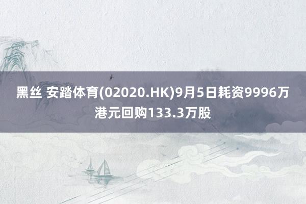 黑丝 安踏体育(02020.HK)9月5日耗资9996万港元回购133.3万股