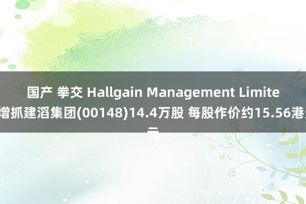 国产 拳交 Hallgain Management Limited增抓建滔集团(00148)14.4万股 每股作价约15.56港元