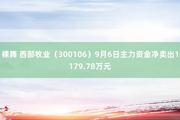 裸舞 西部牧业（300106）9月6日主力资金净卖出1179.78万元