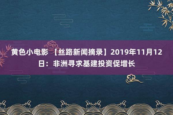 黄色小电影 【丝路新闻摘录】2019年11月12日：非洲寻求基建投资促增长