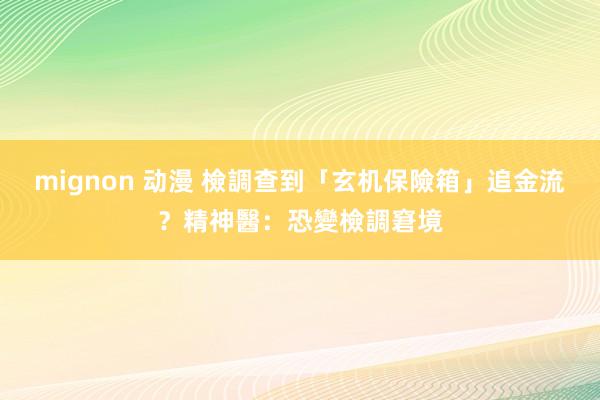 mignon 动漫 檢調查到「玄机保險箱」追金流？精神醫：恐變檢調窘境