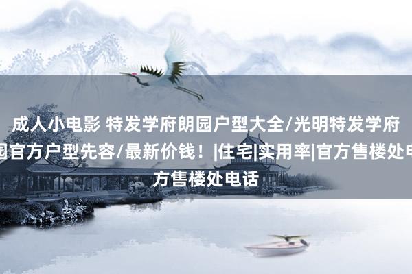 成人小电影 特发学府朗园户型大全/光明特发学府朗园官方户型先容/最新价钱！|住宅|实用率|官方售楼处电话