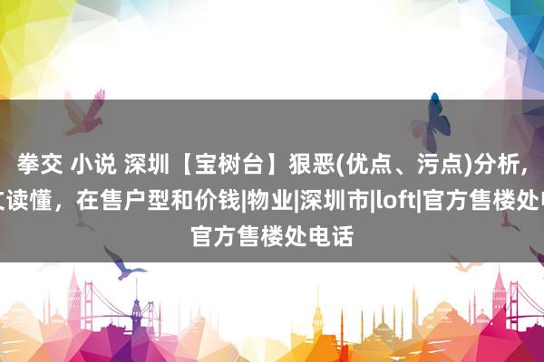 拳交 小说 深圳【宝树台】狠恶(优点、污点)分析,一文读懂，在售户型和价钱|物业|深圳市|loft|官方售楼处电话